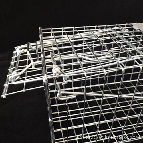 Chipmunks Cage Traps Chipmunks Cage Traps 2.0mm Wire Diameter Stainless Supplier